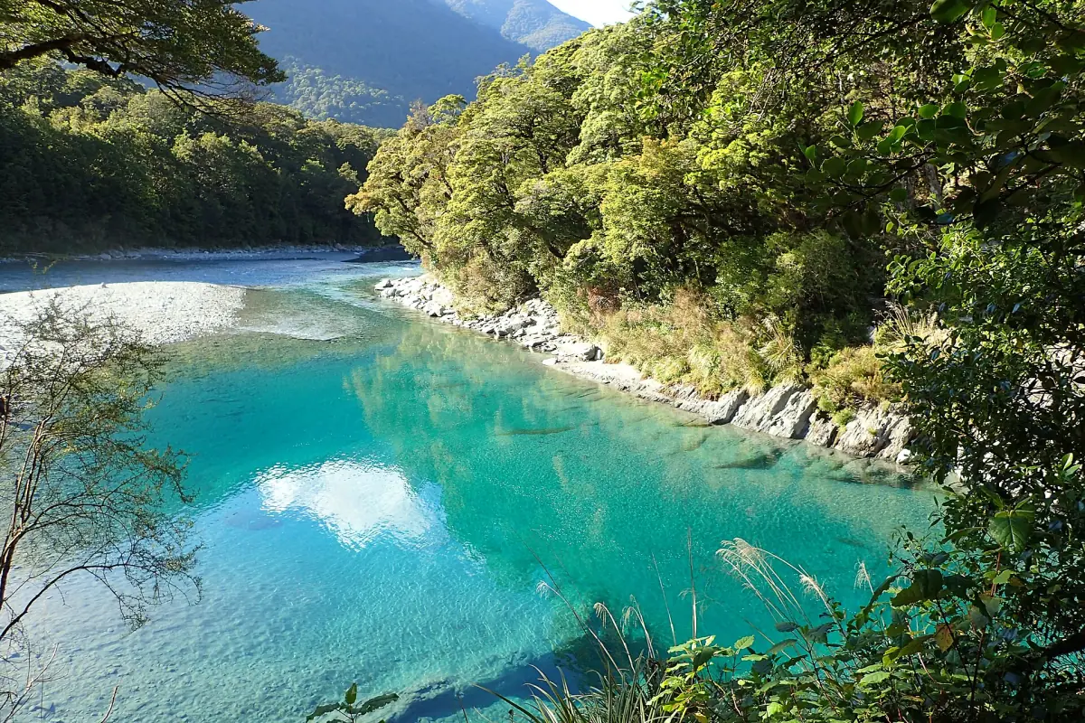 The turquoise water of the Blue Pools below beech forest