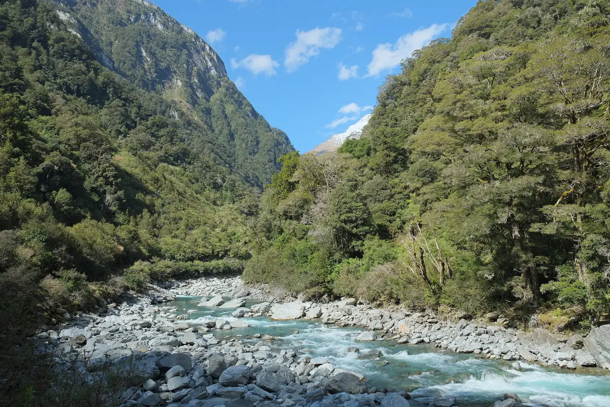The Haast River valley near Thunder Creek