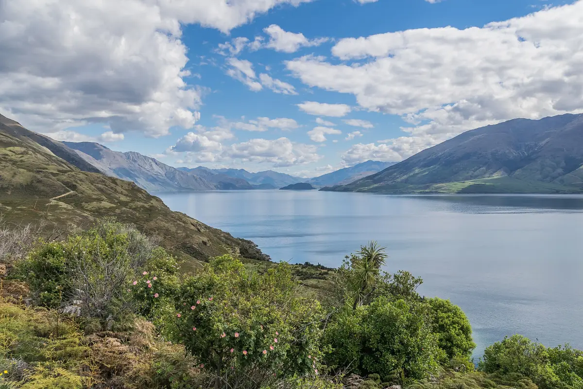 Lake Wanaka between dry hills