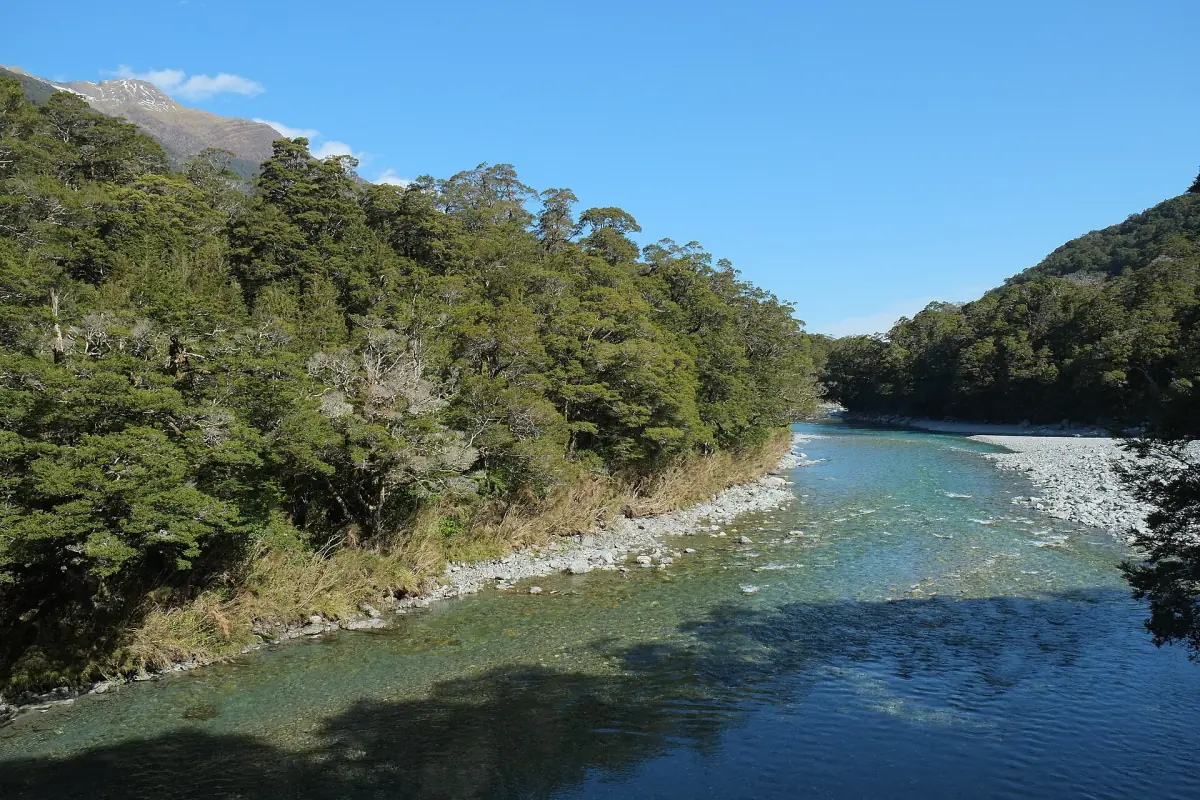 The Makarora River downstream of the swing bridge