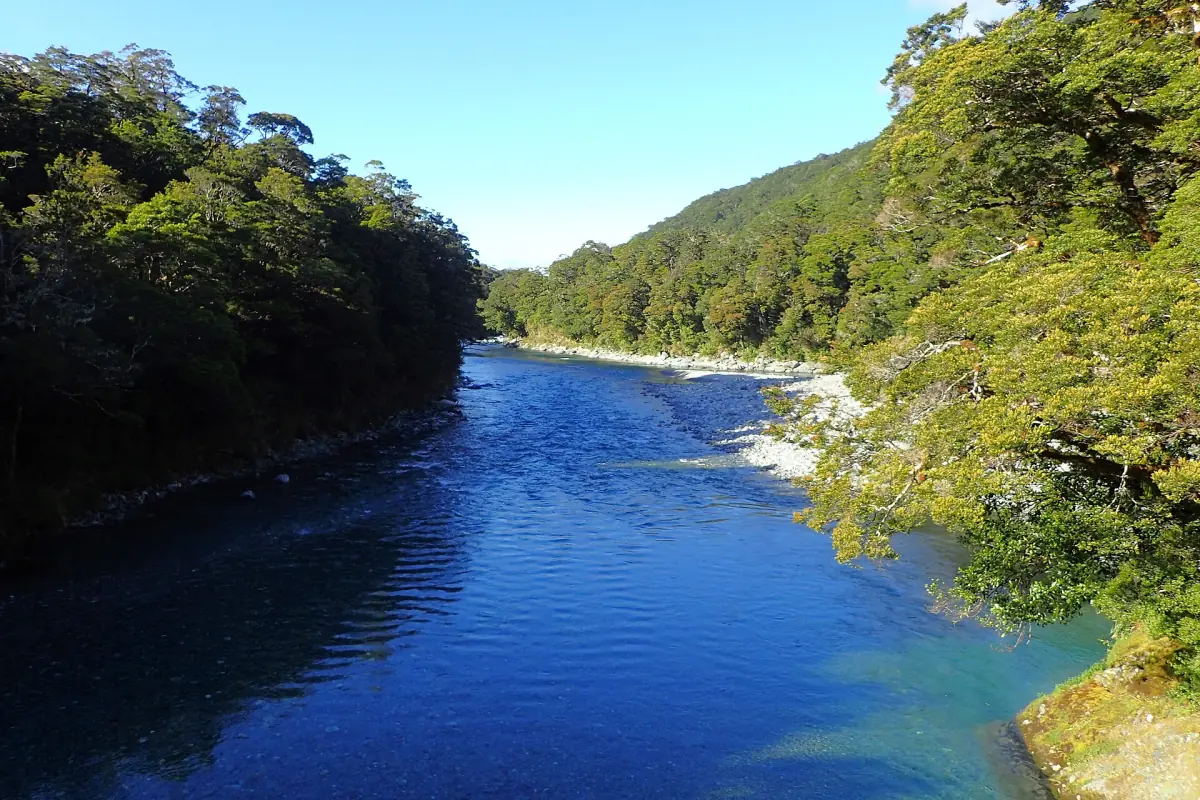 The deep blue Makarora River between forested banks
