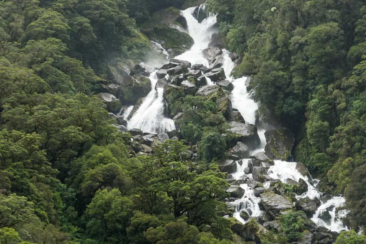 Roaring Billy Falls cascading through forest