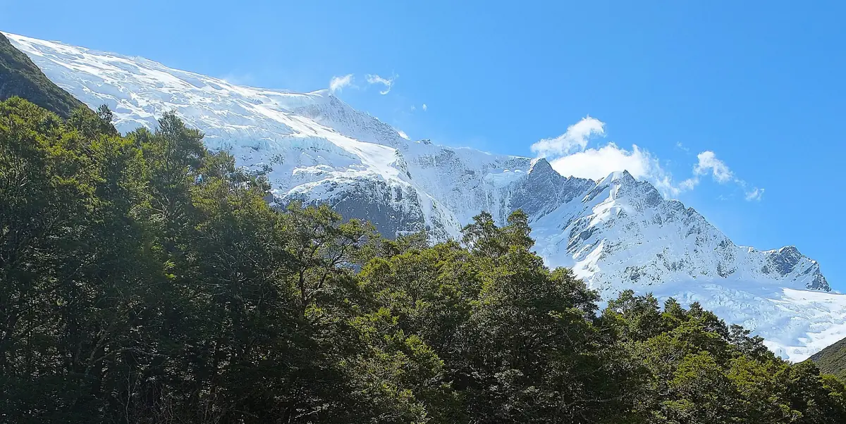 Rob Roy Peak and glacier above the forest